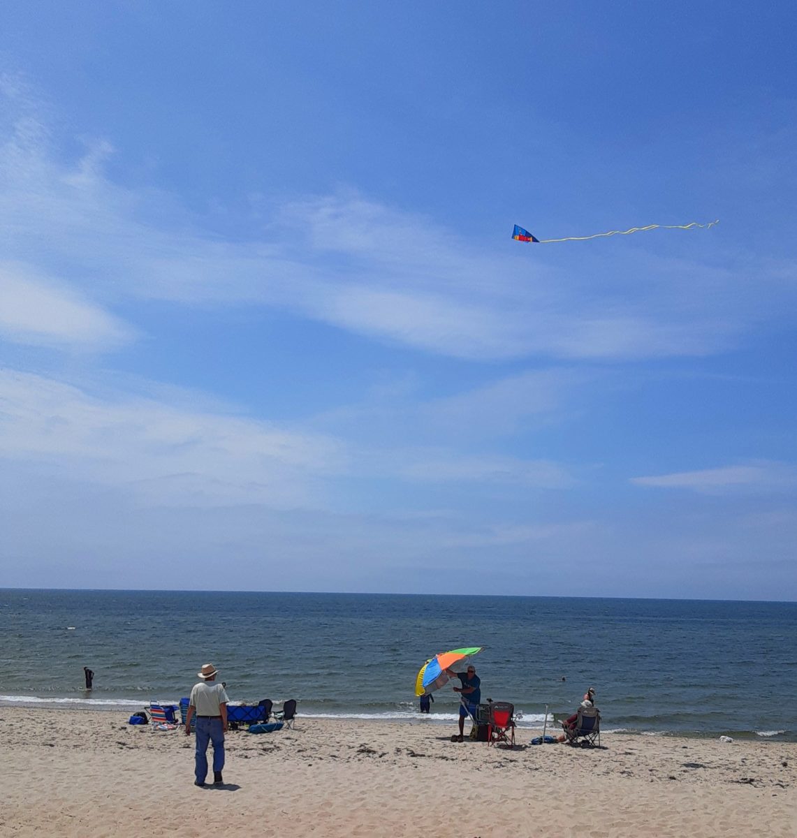 People are flying a kite on the beach