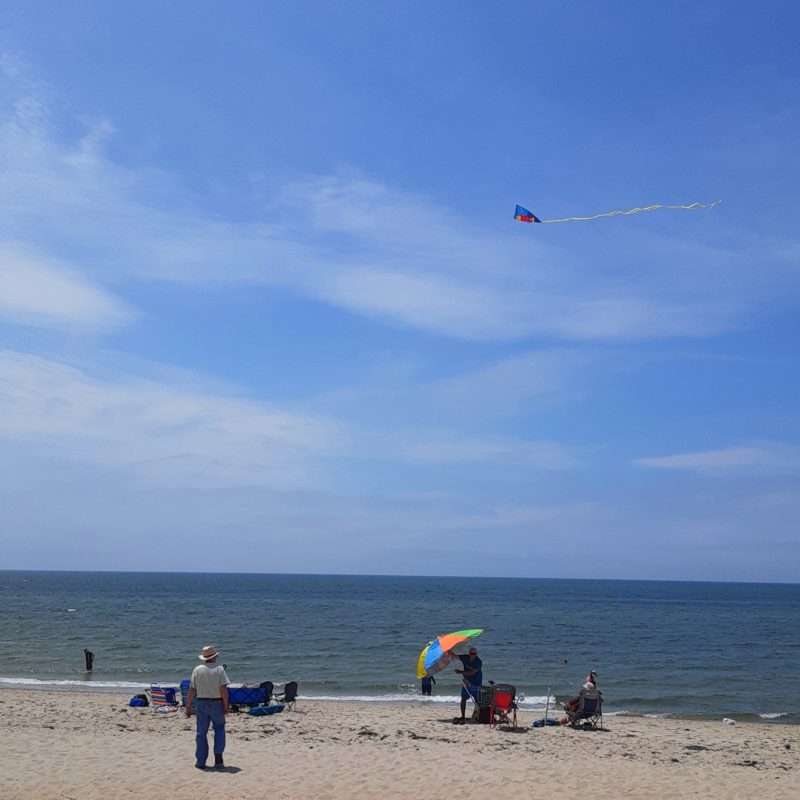 People are flying a kite on the beach