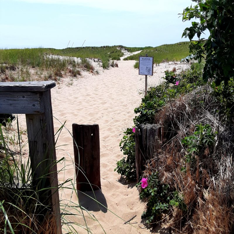 a sandy pathway to the beach is shown