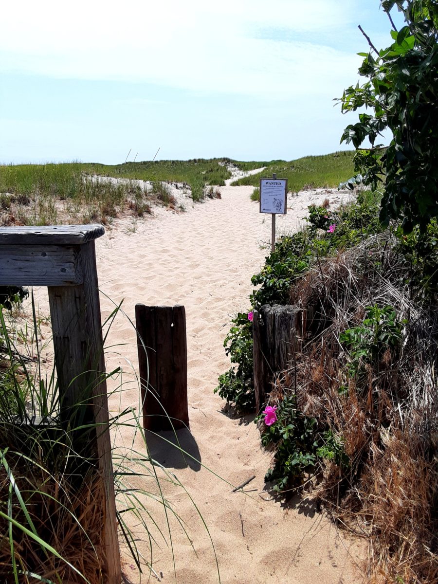 a sandy pathway to the beach is shown