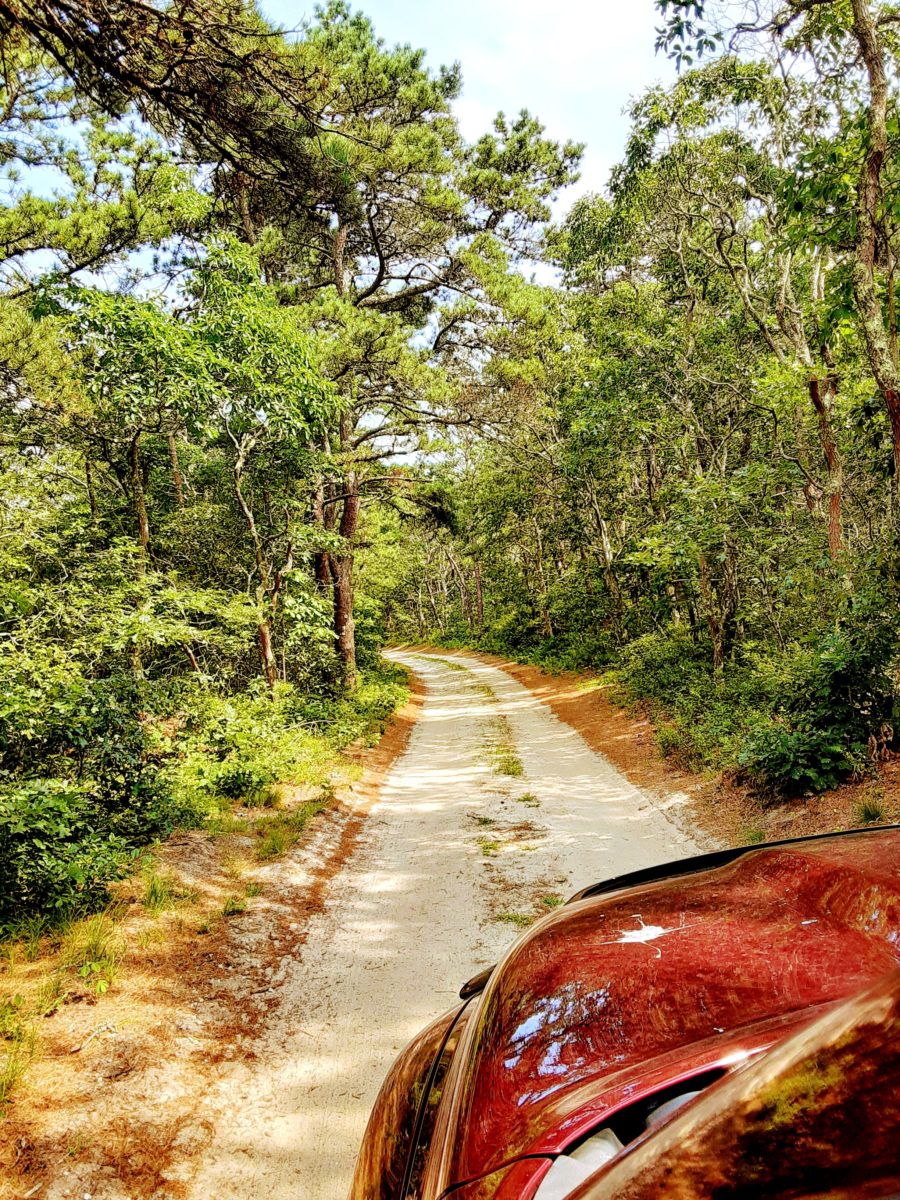 a red truch drives down a wooded road