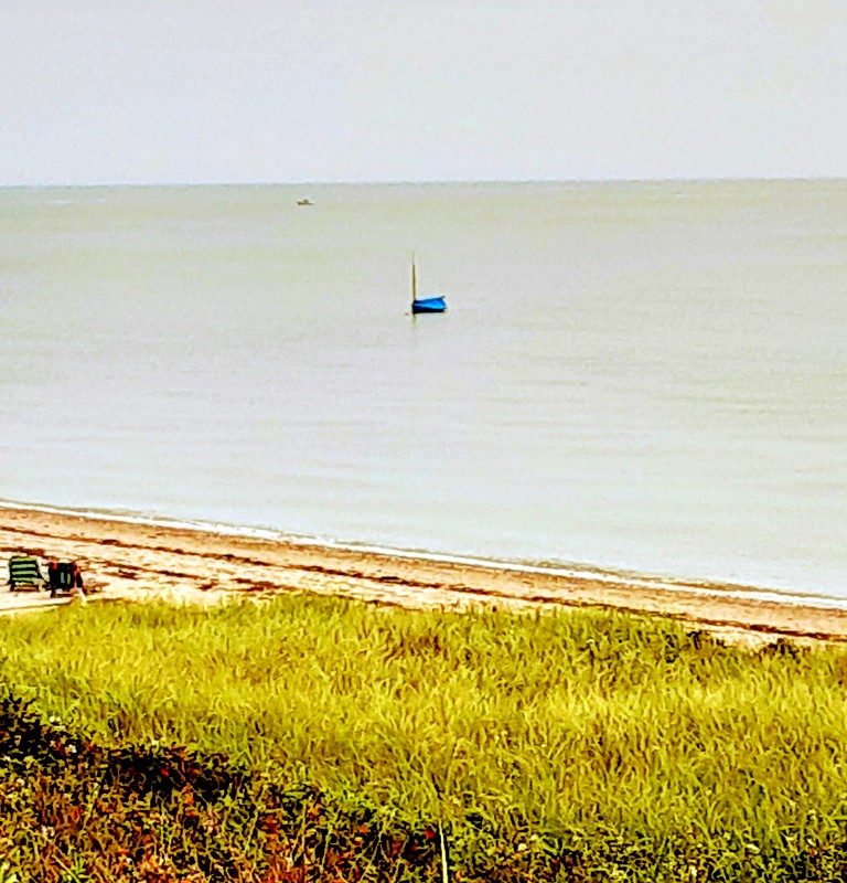 a single blue sailboat sits in the water
