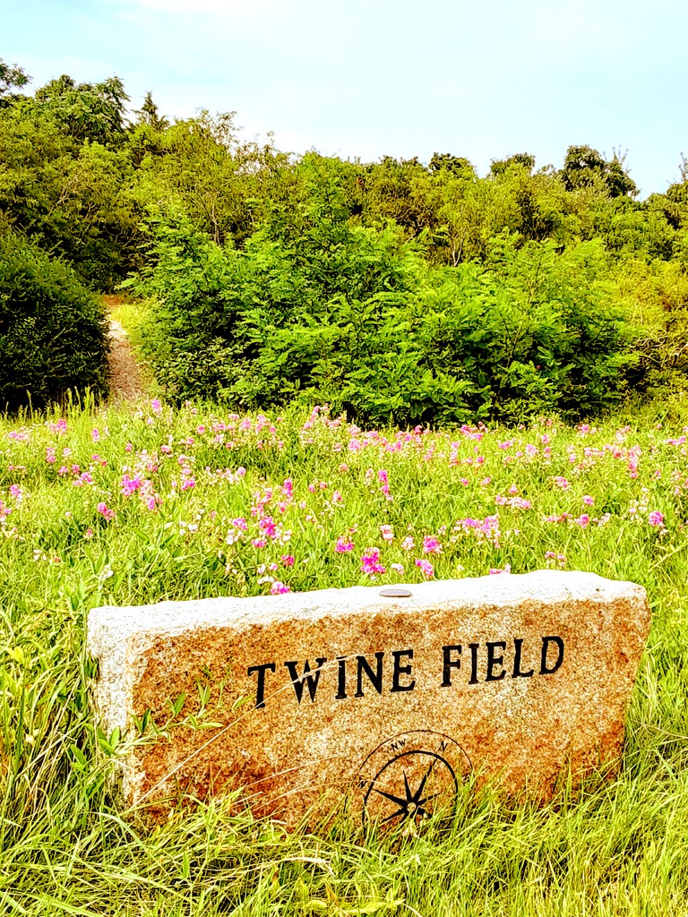 A stone marker reads Twine Field