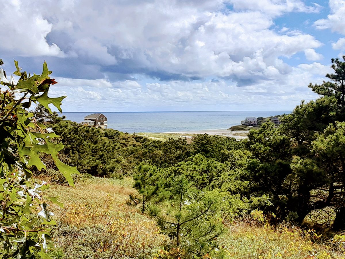 An ocean view from a hiking trail is shown