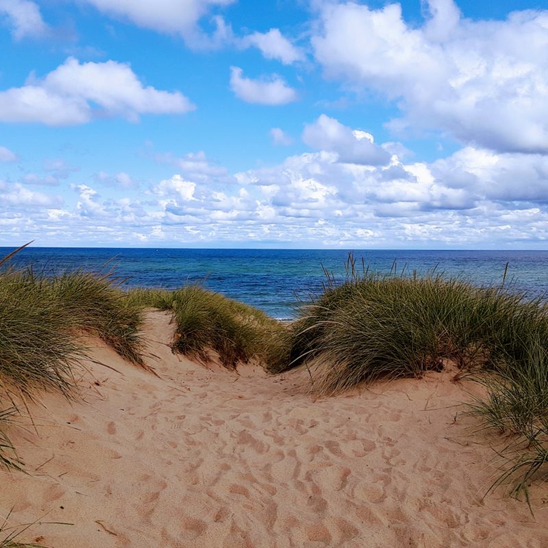 A sandy hill overlooks the ocean