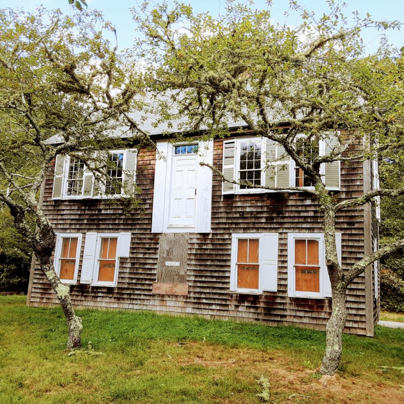 A bog house is hidden in the woods